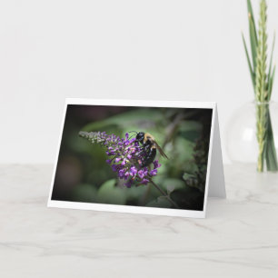 Bee, card