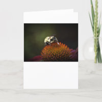 Bee, card