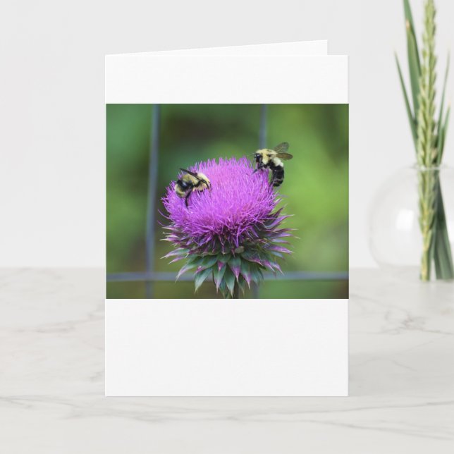 Bee, card (Front)