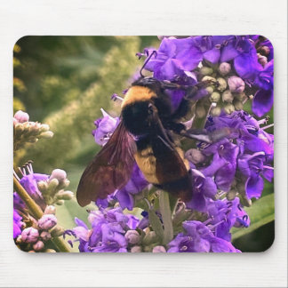 BEE CAUSE YOU ARE SPECIAL MOUSE PAD