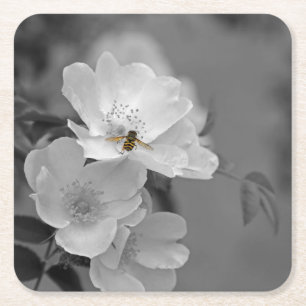 Bee Coaster