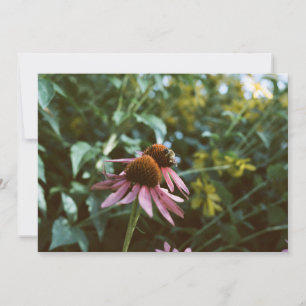 Bee & Coneflower Photo Reprint Invitation