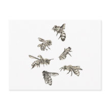 Bee Drawing