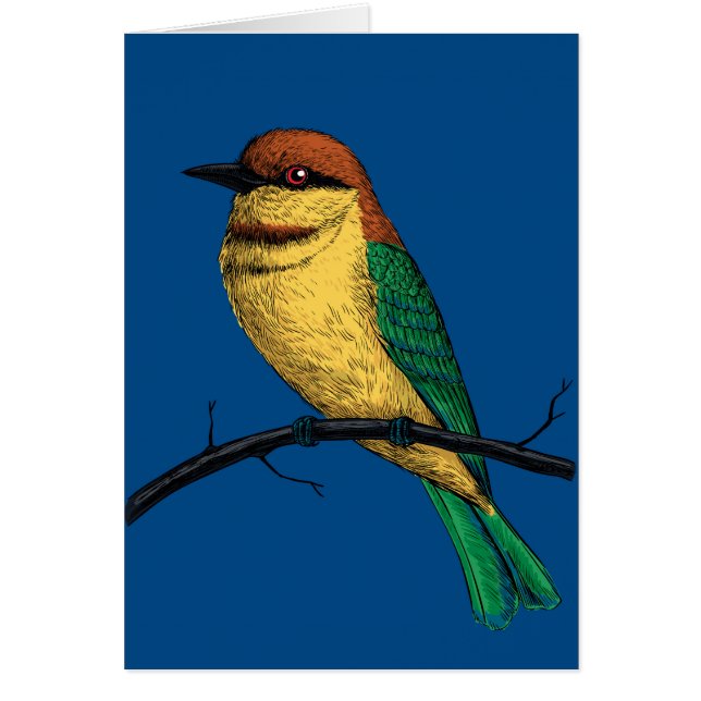 Bee eater (Front)