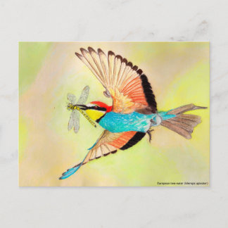 Bee-eater, colorful bird at flight illustration postcard