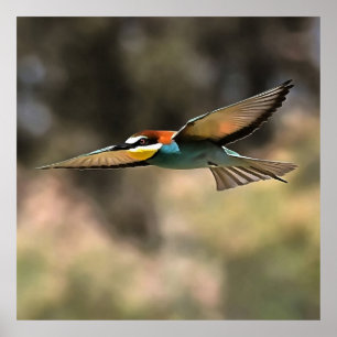 Bee Eater In Flight Realistic Artwork Poster