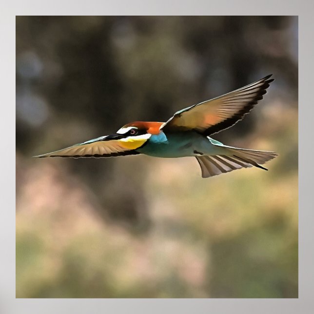 Bee Eater In Flight Realistic Artwork Poster (Front)
