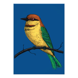 Bee eater photo print
