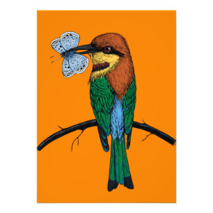 Bee eater photo print