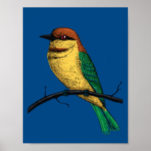 Bee eater poster