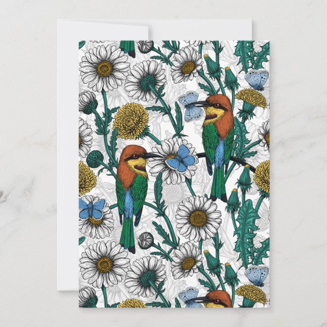 Bee-eaters, blue butterflies and daisies on white (Front)