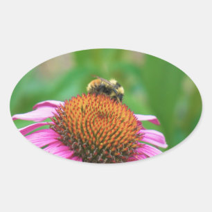 Bee Echinacea Oval Sticker