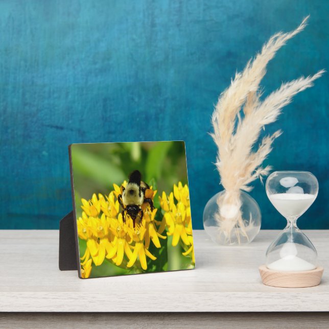 Bee Feasting on Butterfly Weed Wildflowers Plaque (Insitu)