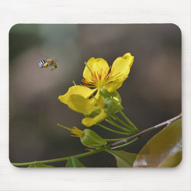 bee, flower mouse mat (Front)