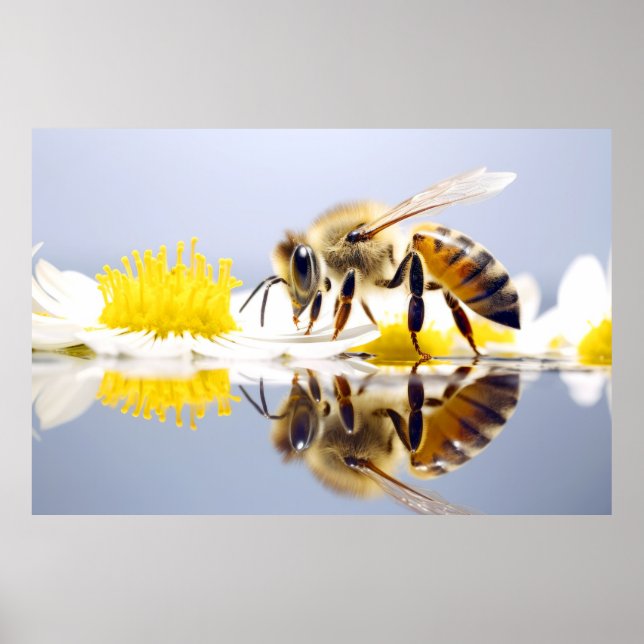 Bee Flower Nature Serene Tranquil Peace Poster (Front)