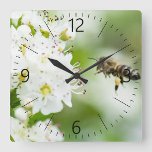 Bee flying to the spring flower square wall clock