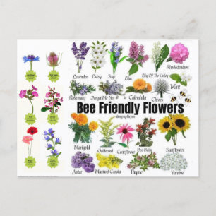 Bee-Friendly Flowers Postcard