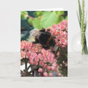 Bee Greeting Card