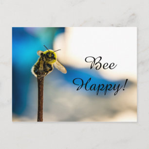 Bee Happy Bumblebee Postcard
