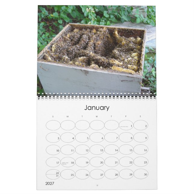 Bee Happy Calendar (Jan 2027)