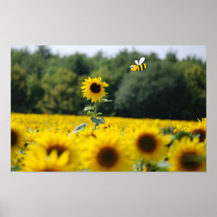 Bee Happy. Poster