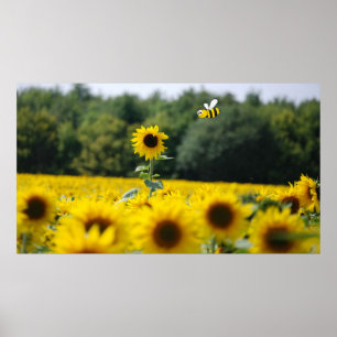 Bee Happy. Poster