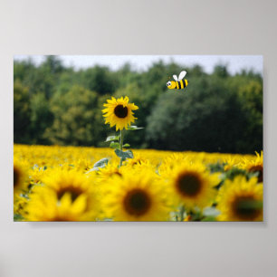 Bee Happy. Poster