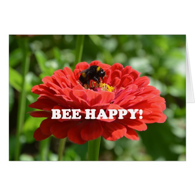 Bee Happy Red Flower (Front Horizontal)