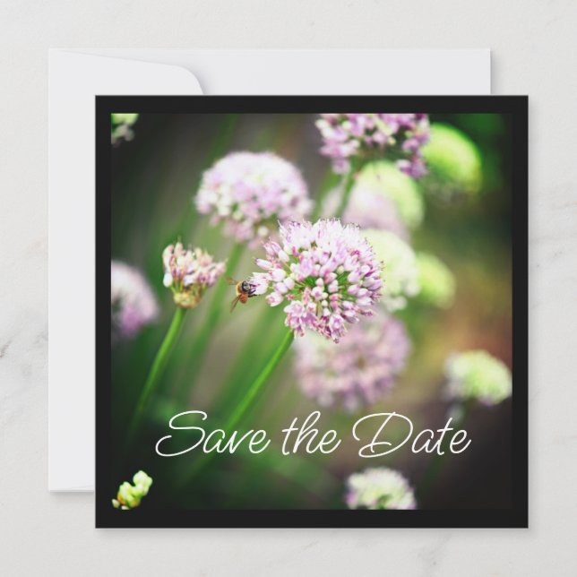 Bee Happy with Purple Diagonal Allium Flowers (Front)