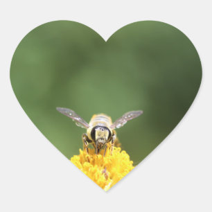 Bee Heart Sticker