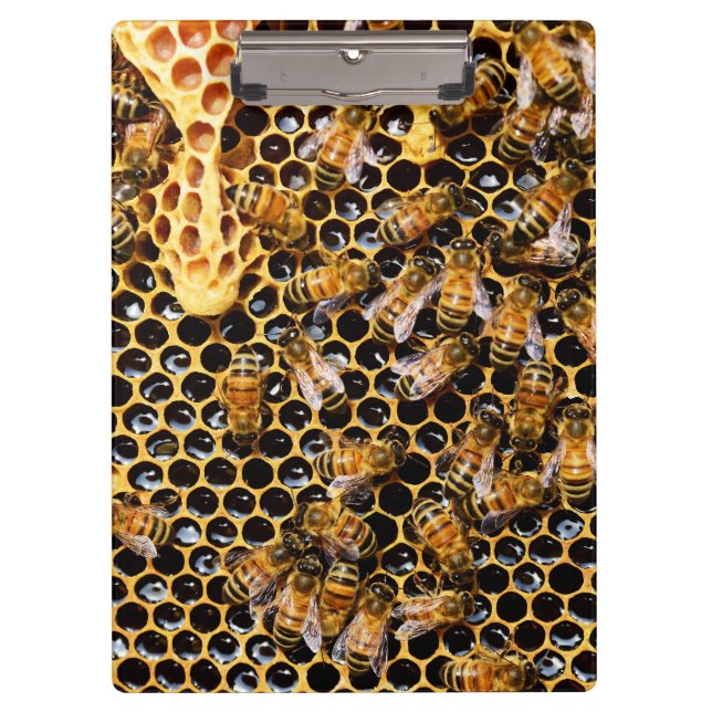 Bee Hive with Honeycomb Up Close Clipboard (Front)