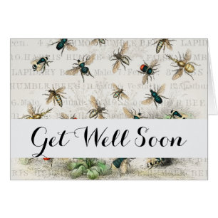 Bee Honey Worker Queen Bees Antique