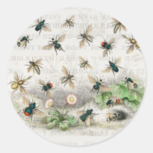 Bee Honey Worker Queen Bees Antique  Classic Round Sticker