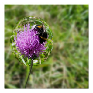 Bee in bubble poster