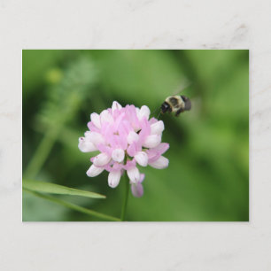 Bee In Flight Postcard