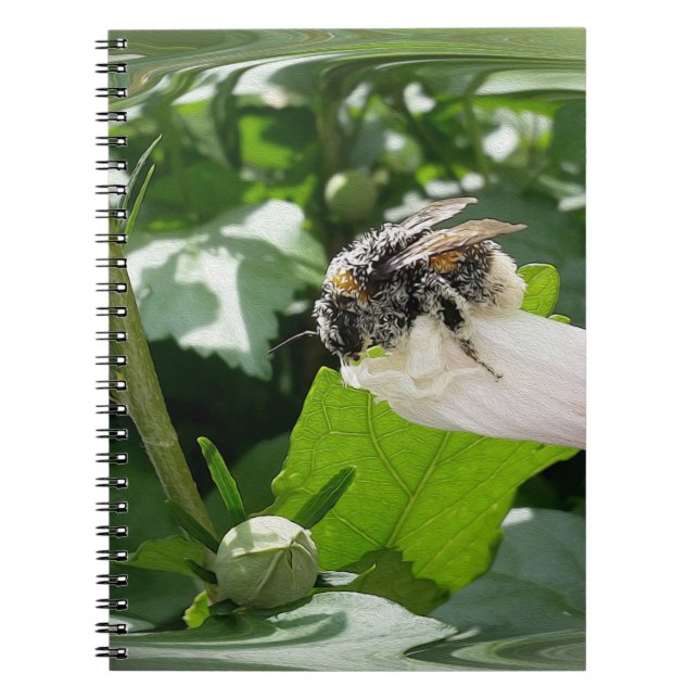 Bee in summer notebook (Front)