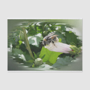 Bee in summer tissue paper