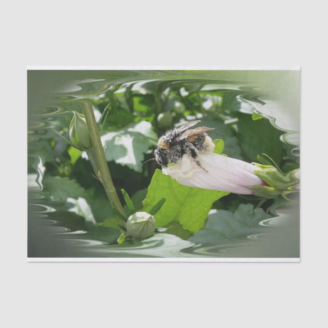 Bee in summer tissue paper (Front)