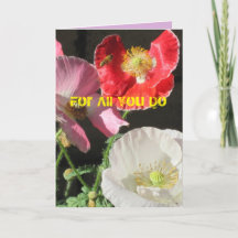 Bee In The Poppies Thank You Card