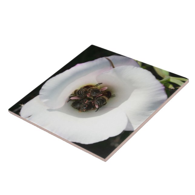 Bee-in Tile (Side)