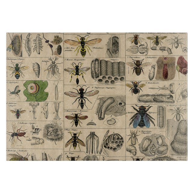 Bee Insect Bug Wasp Natural History Bees Cutting Board (Front)