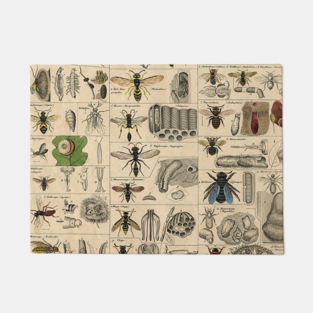 Bee Insect Bug Wasp Natural History Bees Doormat (Front)
