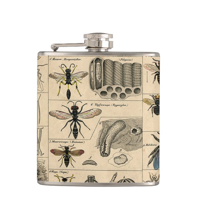 Bee Insect Bug Wasp Natural History Bees Hip Flask (Front)