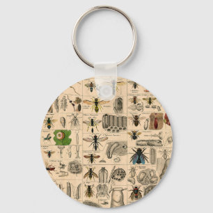 Bee Insect Bug Wasp Natural History Bees Key Ring