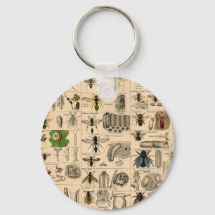 Bee Insect Bug Wasp Natural History Bees Key Ring