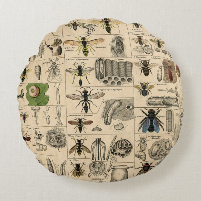 Bee Insect Bug Wasp Natural History Bees Round Cushion (Front)