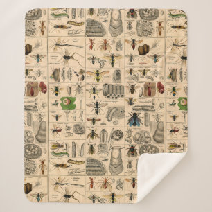 Bee Insect Bug Wasp Natural History Bees Sherpa Blanket