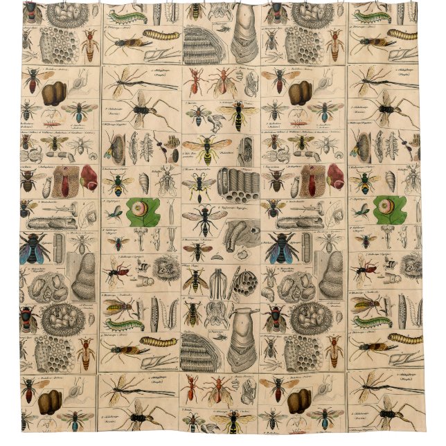 Bee Insect Bug Wasp Natural History Bees Shower Curtain (Front)
