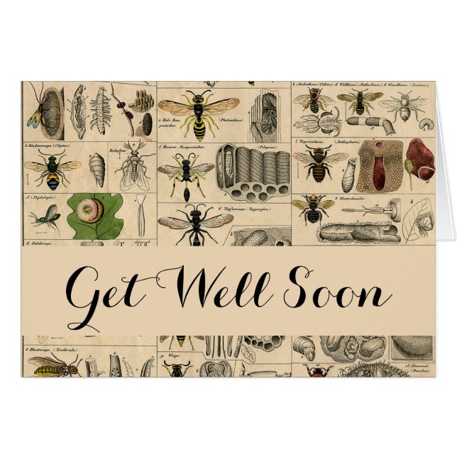 Bee Insect Bug Wasp Natural Nature Bees Painting (Front Horizontal)