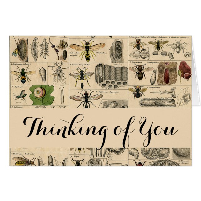 Bee Insect Bug Wasp Natural Nature Bees Painting (Front Horizontal)